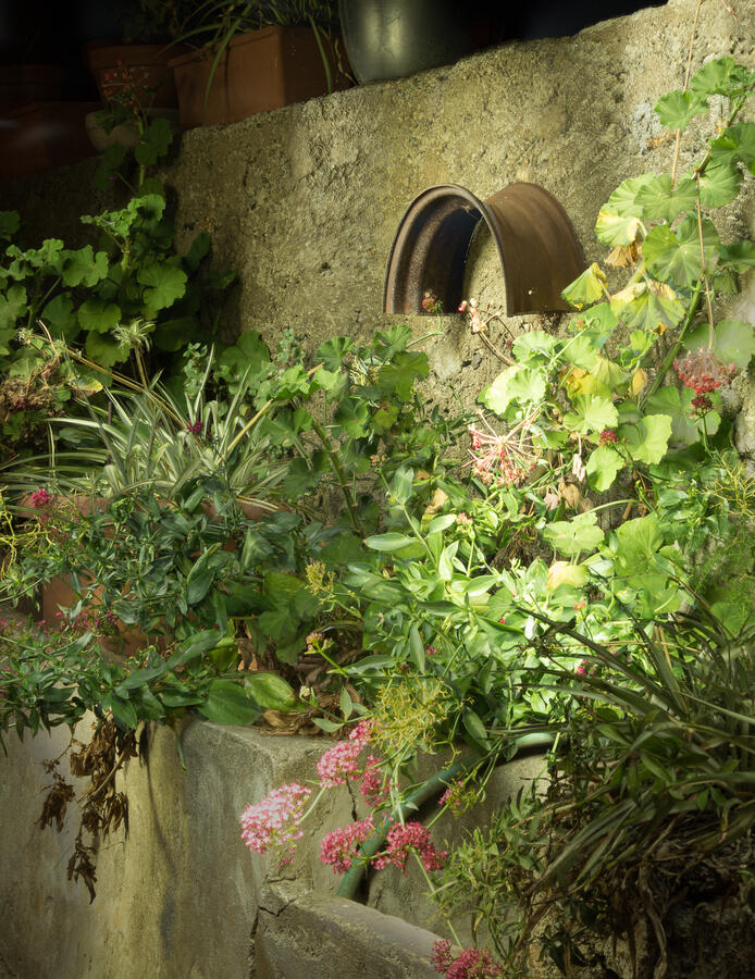 A vertical light painting of a lush stone planter built into a rugged concrete wall. Handheld lighting brings out the vibrant greens of various garden plants and red flowers, while highlighting a curved, rusted metal pipe embedded in the stone.