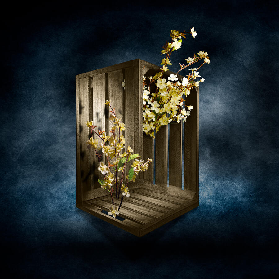 A square surrealist light painting of a wooden crate floating against a dark, cloudy blue background. Small yellow flowers grow impossible paths through the wooden slats, appearing to exist both inside and outside the structure simultaneously, creating an