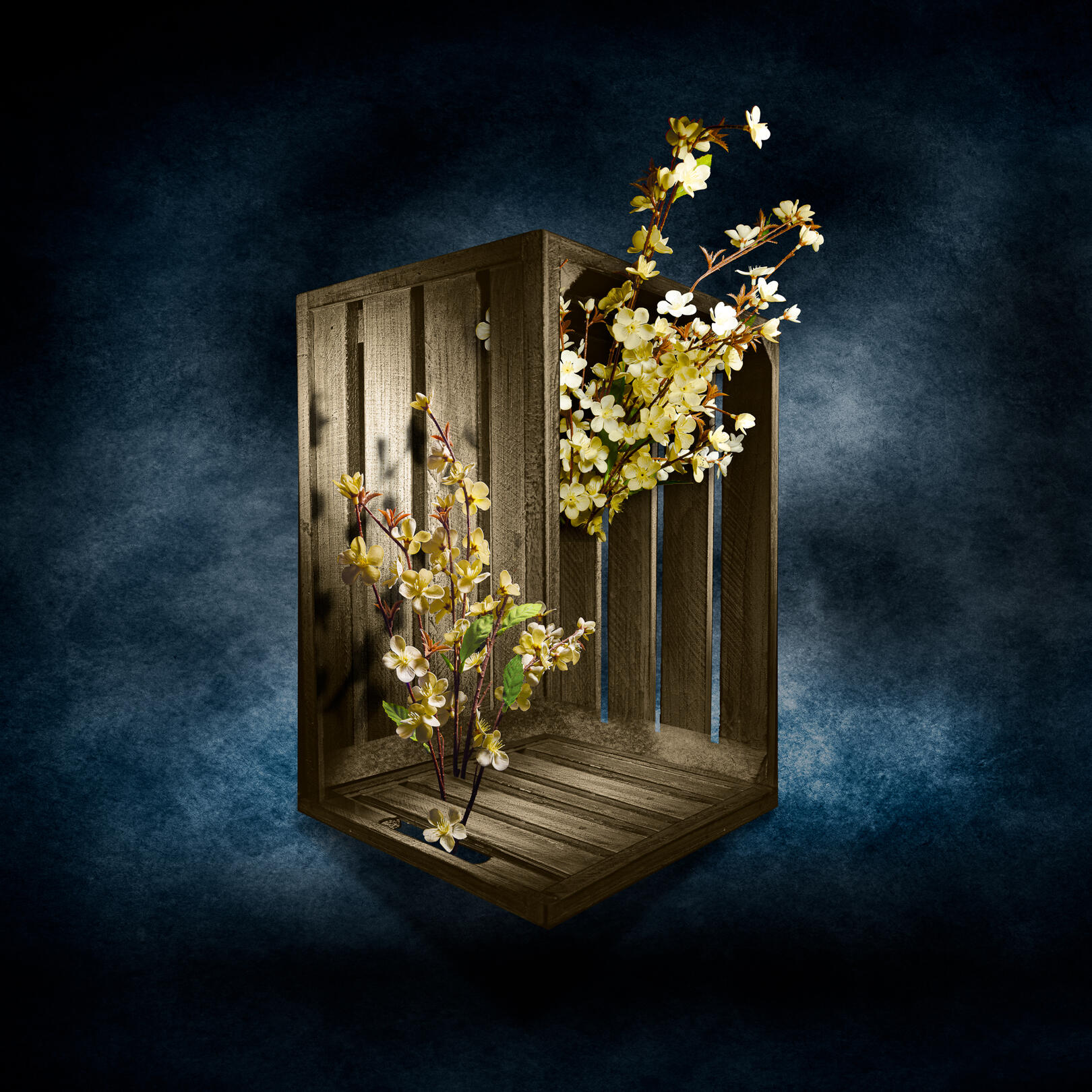 Paradox in Bloom A surrealist light painting of yellow flowers growing impossibly through the slats of a floating wooden crate, demonstrating Mark Gilvey's "Digital Alchemy" technique.